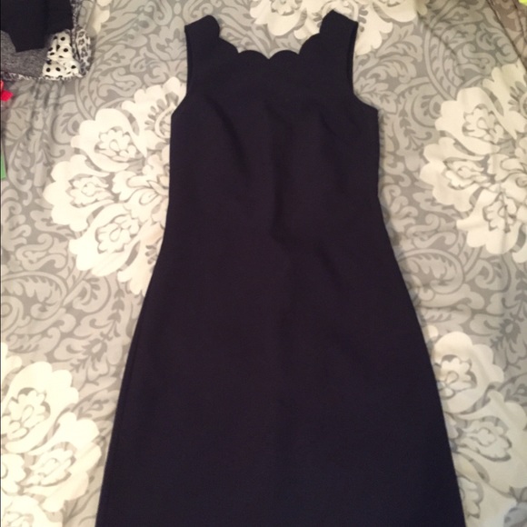 NWT beautiful navy scalloped dress