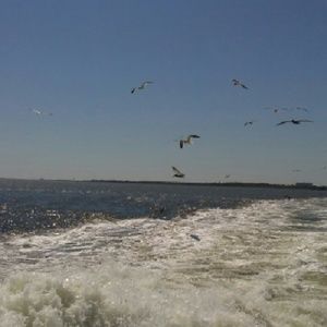 Meet your Posher, Brittney