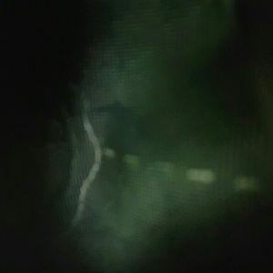 Meet your Posher, Gloria