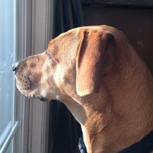 Meet your Posher, Jola