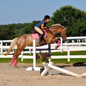 Meet your Posher, Anna