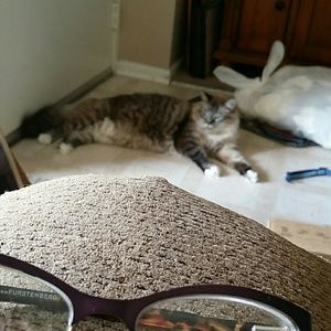 Meet your Posher, Cari