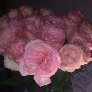 Meet your Posher, Darby