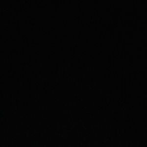 Meet your Posher, Tajlor