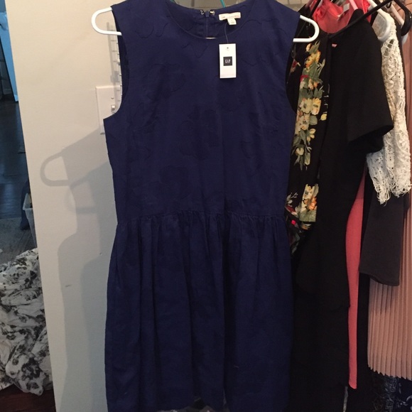 Blue, gap, skater dress