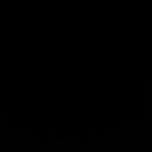 Meet your Posher, Ken