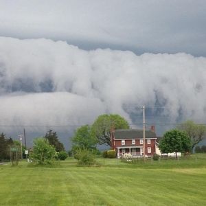 Meet your Posher, Joanne