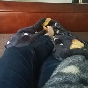 Meet your Posher, Daisy