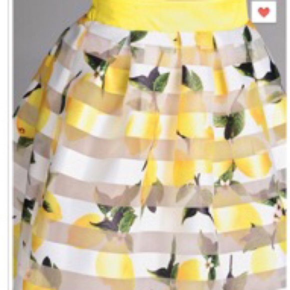 NWT Lemon striped full organza skirt! - Picture 3 of 4