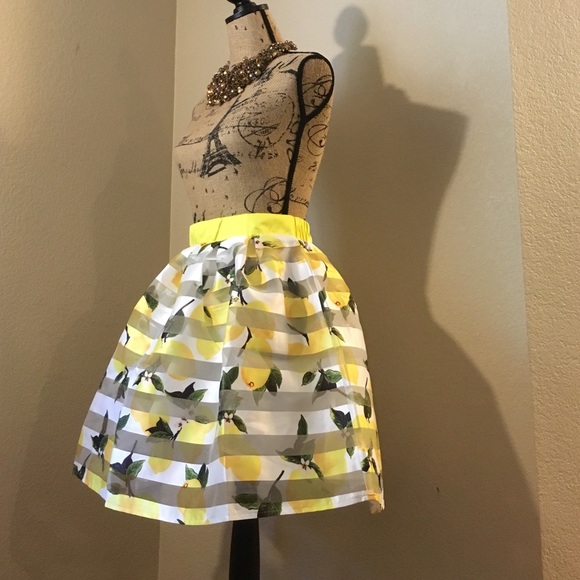 NWT Lemon striped full organza skirt! - Picture 4 of 4