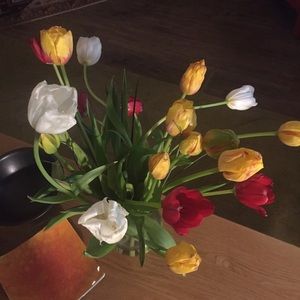 Meet your Posher, Terry