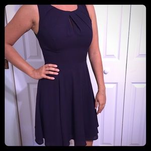 Express plum chiffon fit & flare dress