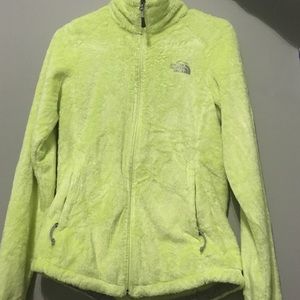 Neon north face