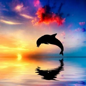 Meet your Posher, Suzanne