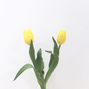 Meet your Posher, Cathy