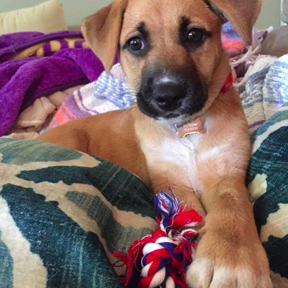 Meet your Posher, McKenzie - Picture 6 of 6