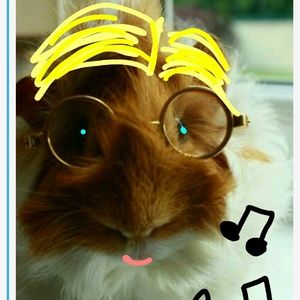 Meet your Posher, Jake