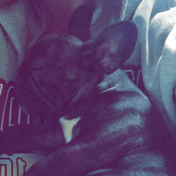 Meet your Posher, Madison - Picture 1 of 1