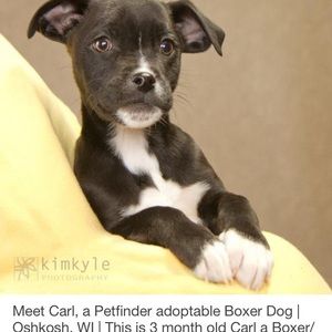 Meet your Posher, Jill