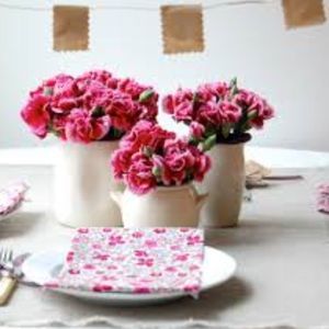 Meet your Posher, Carolyn