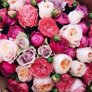 Meet your Posher, Marina