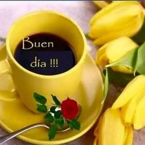 Meet your Posher, Cristina