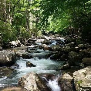 Meet your Posher, Joe