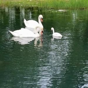 Meet your Posher, Kristy