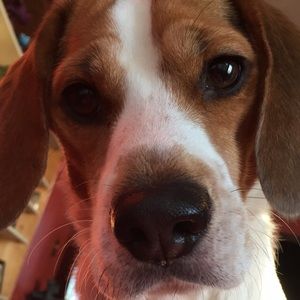 Meet your Posher, Kendra