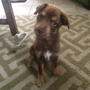 Meet your Posher, Maureen