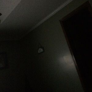 Meet your Posher, Joy