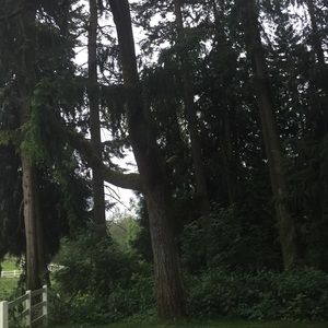 Meet your Posher, Shelly