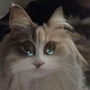 Meet your Posher, Jess