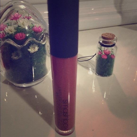 SMASHBOX NWOT Lip Gloss 💁 In Endless ❤️❤️ W/ gift