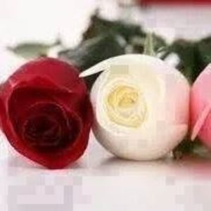 Meet your Posher, Merari