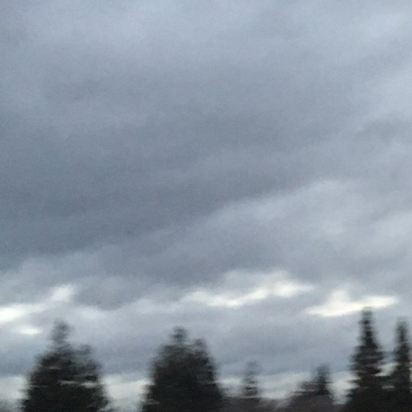 Meet your Posher, Jazmin - Picture 1 of 1