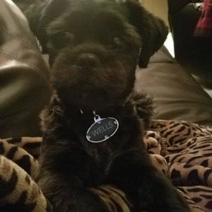 Meet your Posher, Ericka