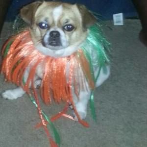 Meet your Posher, Cydnee