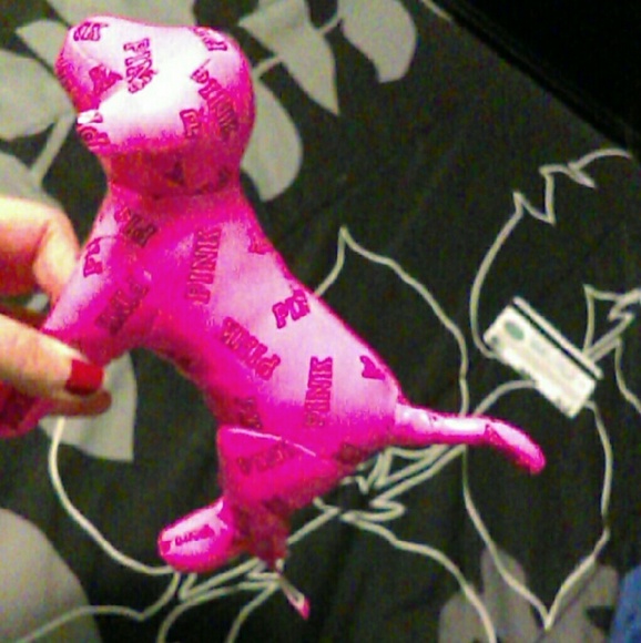 VS Dog