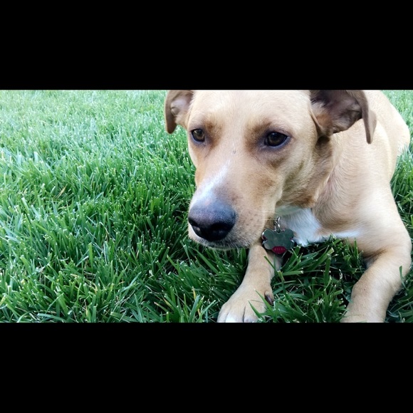 Meet your Posher, Tori - Picture 1 of 1