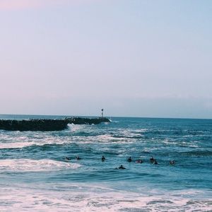 Meet your Posher, Chloe