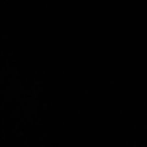 Meet your Posher, Lexi