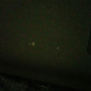 Meet your Posher, Greg