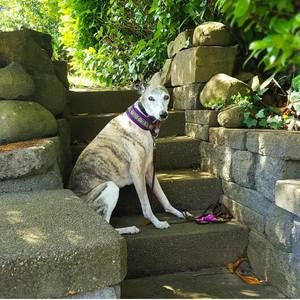 Meet your Posher, Julieanne