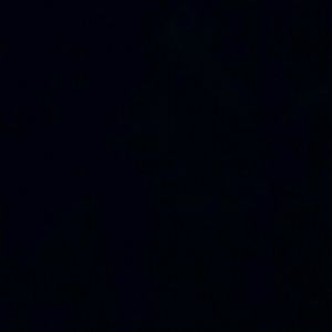 Meet your Posher, Pearl