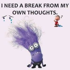 Meet your Posher, Susan