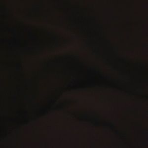 Meet your Posher, Tamia