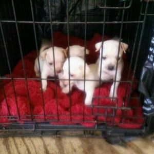 Meet your Posher, Tonya