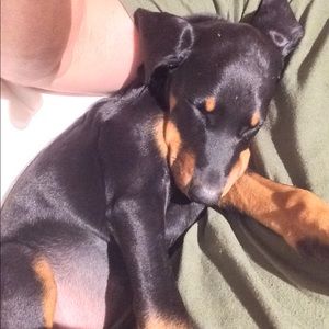 Meet your Posher, Heidi