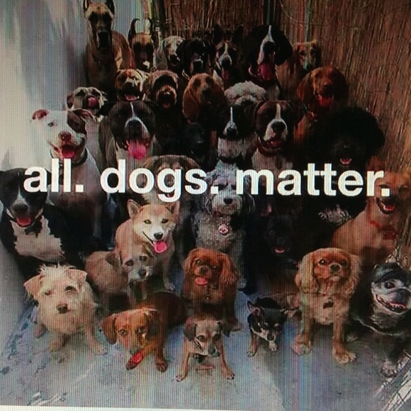 PLEASE READ BEFORE MAKING AN OFFER...THANK YOU :) - Picture 3 of 4